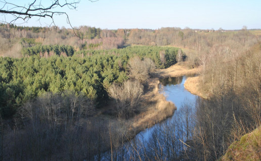 11. Dauginčių atodanga.jpg